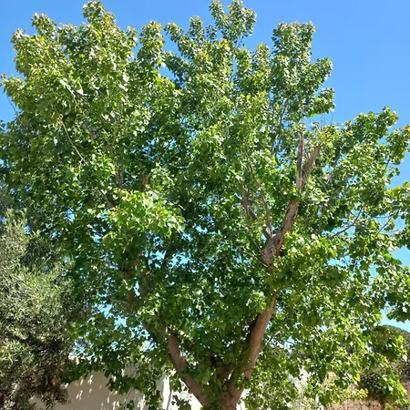 Villa Polignano A Mare וילה
